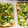 maruru-nn's cooksnap of when they made 簡単☆春菊と卵の炒め物.