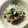 いぶひゅう's cooksnap of when they made 箸がとまらない。新玉ねぎのさっぱりサラダ.