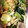 クック1AT3VJ☆'s cooksnap of when they made 豚こまと青梗菜のにんにく醤油炒め.