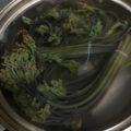 キルヘボン's cooksnap of when they made ストウブ【staub】❦わらびのあくぬき.