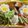 ☆Rokko☆'s cooksnap of when they made デコ弁✿　お花弁当.