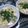 ジョングレ's cooksnap of when they made 崩し豆腐と卵の中華スープ わかめ入り.