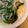 くまんぼう's cooksnap of when they made もやしとニラのあんかけ焼きそば.