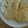 HINAマロン's cooksnap of when they made なんとなくおいしい素朴クッキー.