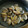 CoCoしゃんママ's cooksnap of when they made バター香る♡あさりの酒蒸し☆.