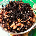 のぶ代's cooksnap of when they made ひじきと大豆の煮物.