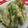 ひろ0331's cooksnap of when they made スナップエンドウの天ぷら.