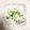 :えり坊's cooksnap of when they made ごまがたっぷり☆豆腐ソース.