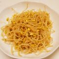豆花子's cooksnap of when they made 超シンプルで簡単！塩だけのもやしナムル.
