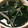 りんごぉぉぉ's cooksnap of when they made 簡単☆中華風もやしスープ.