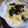 腹下し's cooksnap of when they made 簡単★シンプルたまご丼.