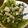 卵せんべい's cooksnap of when they made 牛肉と青菜の煮物.
