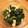 yuka119's cooksnap of when they made ほうれん草とちくわのゴマ和え.