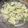 みぃこm's cooksnap of when they made アボカドとササミのサラダ！.