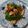 イチゴ、イチゴ。's cooksnap of when they made 細切りイカとピーマンの炒め物☆.