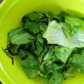 にゃんこ★★'s cooksnap of when they made レタスと塩昆布の簡単サラダ.