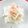 ｱｲﾊﾅ's cooksnap of when they made 新玉ねぎ鰹節炒め.
