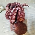 canadawhistler's cooksnap of when they made タコの下処理.