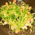 ゆーみんまま☆'s cooksnap of when they made ☆豆苗・ベーコン・エリンギの炒め物☆.