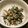 クックLT414N☆'s cooksnap of when they made ドカーンと作ってストック！ひじきの煮物.