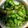 そうかな〜ママ's cooksnap of when they made おつまみに☆やみつき枝豆醤油漬け.