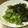 いなかのしろうさぎ's cooksnap of when they made きゅうりとわかめの酢の物.