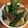 ★うさぎ組★'s cooksnap of when they made アスパラとエリンギのバター炒め☆.