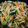 panna＊3's cooksnap of when they made 大根の皮と、人参、残り野菜で簡単おかず！.
