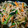 panna＊3's cooksnap of when they made 大根の皮と、人参、残り野菜で簡単おかず！.