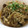 さなぴよちゃん's cooksnap of when they made 和風ハンバーグ　きのこのみぞれ餡掛け.