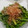 あいｾﾝｾｲ's cooksnap of when they made アスパラのマヨネーズ炒め.