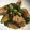 anemonenan's cooksnap of when they made 鶏肉とかぼちゃのオイスター炒め.