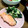 みんでぃあ's cooksnap of when they made レンジで簡単♪鮭の酒蒸し.