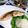 ＴＯＭＯＷＡＴ's cooksnap of when they made 鰤の塩焼き☆山葵おろしで.