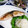 ＴＯＭＯＷＡＴ's cooksnap of when they made 鰤の塩焼き☆山葵おろしで.