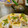 GSDsubaru's cooksnap of when they made 筍の押し寿司.