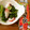 二角形's cooksnap of when they made たこと青菜（菜の花）の わさび和え.