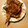 クック2UGW3N☆'s cooksnap of when they made 超簡単☆手羽元のママレード煮（鶏肉編）.
