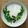 ぽむぽむまりん's cooksnap of when they made グリーンリース.