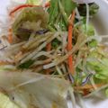 miLmal's cooksnap of when they made 【糖質制限】サラダ用レモンドレッシング.