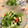 紗月0507's cooksnap of when they made キャベツとキウイと半熟卵のパワーサラダ.