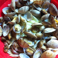 ucachan's cooksnap of when they made レンジで♫白菜とあさりの酒蒸し.