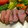 ぴくしーの台所's cooksnap of when they made 牛肉のたたき☆簡単なのに見ばえは抜群！.