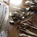 ♡りりたん♡'s cooksnap of when they made 煮干しの美しいワタの取り方.