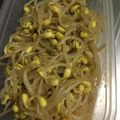 korkor7's cooksnap of when they made 簡単♪もやしナムル.