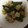 4489's cooksnap of when they made 冷凍イカとアスパラの黒胡椒煮.