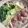 ﾌﾞﾚﾝﾀﾞ's cooksnap of when they made 白菜と豆腐と肉団子の中華だしの塩鍋.
