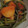 トレピアンテ's cooksnap of when they made とろとろしみしみ✿いも煮.