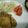 いってつの男の料理's cooksnap of when they made 簡単！切れてる！トンテキ。.