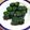 りゅうパパ's cooksnap of when they made ほうれん草でノリノリ巻き巻き★.